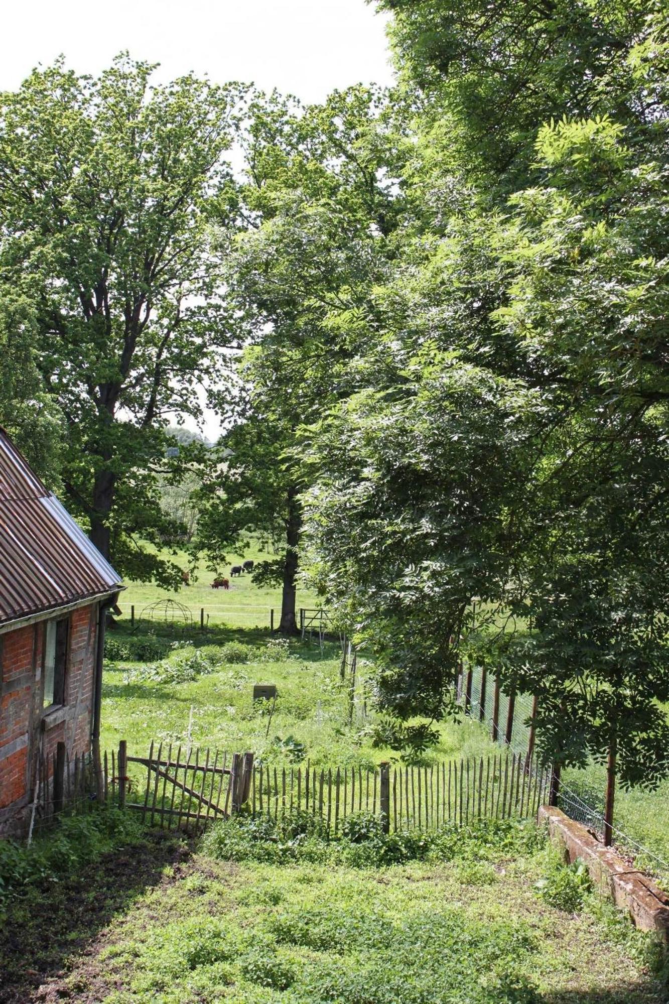 Ferienwohnung Auf Der Ruebenburg Barnsen Exteriör bild